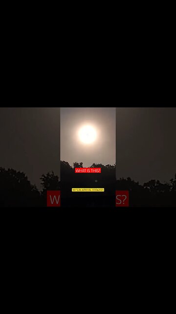 NY WEATHER THE SUN 07/06/2023