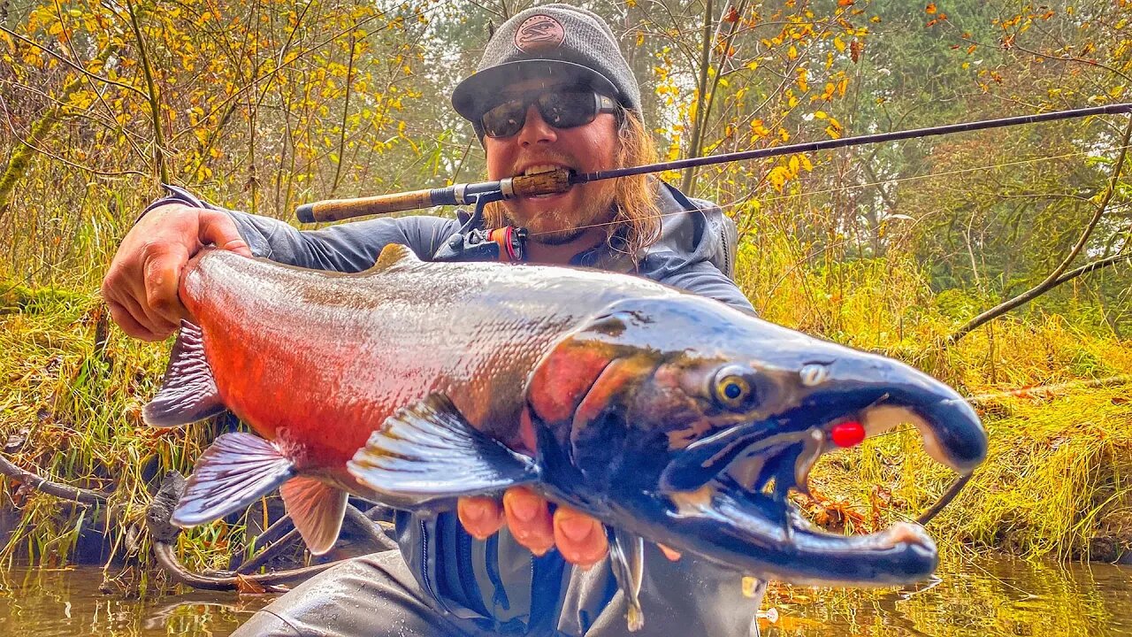 FISHING & Exploring A NEW TINY Creek!