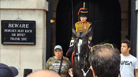 Scaring the crap out of a tourist Don't touch the reins #horseguardsparade