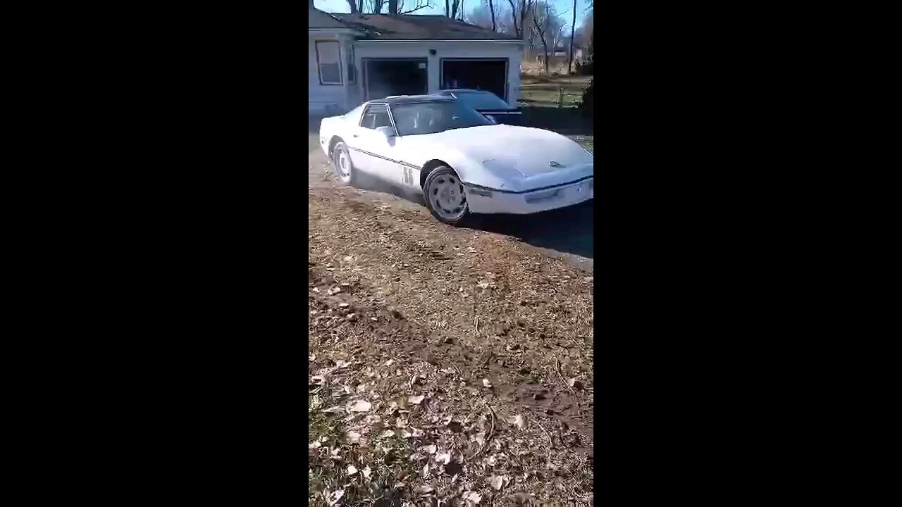 LS CORVETTE