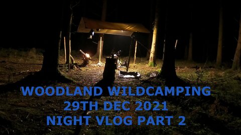Second part of a night vlog. Woodland wildcamping.