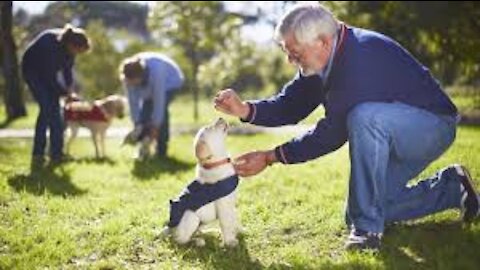 Guard Dog Training Step by Step trick!