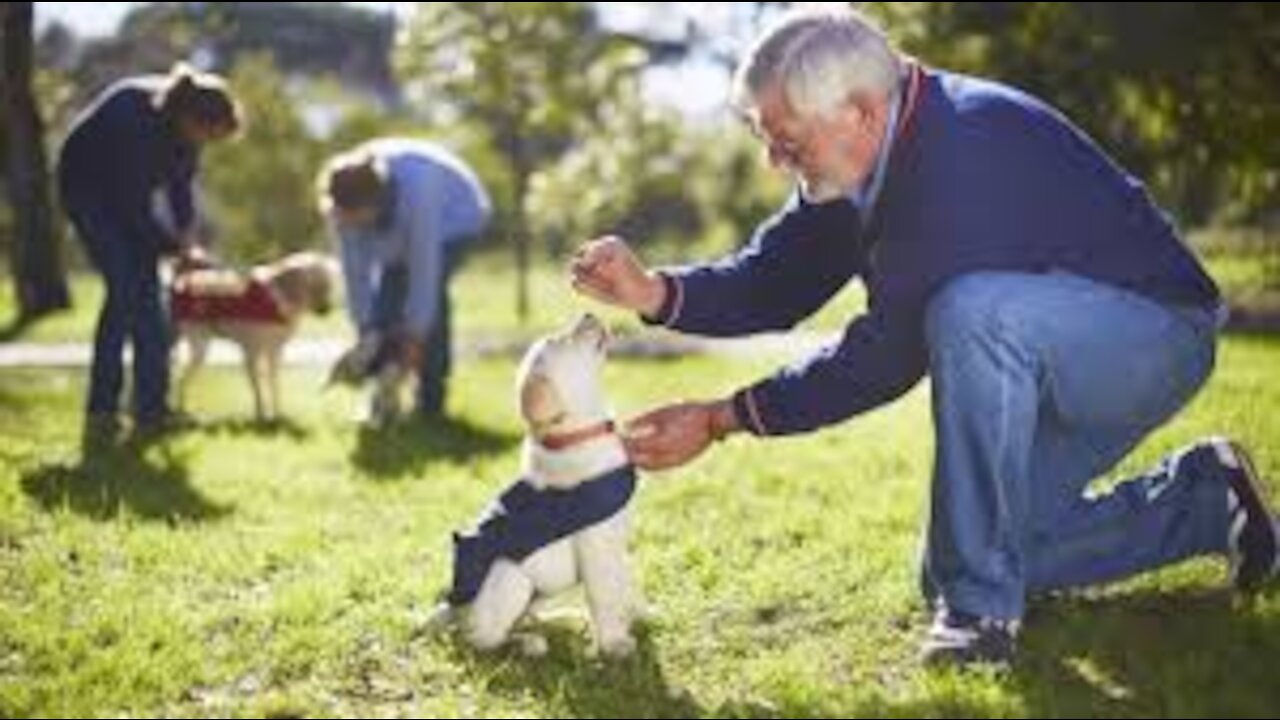 Guard Dog Training Step by Step trick!