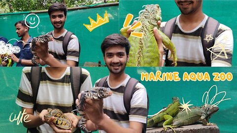 Exploring | Beautiful Marine Aqua Zoo In Dadar |