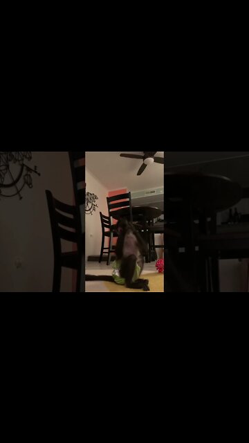 Most Amazing and trending video||relaxing your mind||trendig videos|| #shorts #trending #viral #live