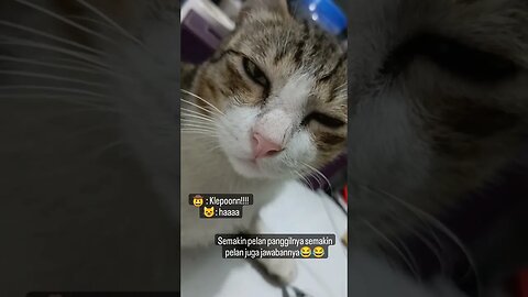 Kelakuan Si Unying Oyen Dan Si Abu, Yang Random Juga Lucu