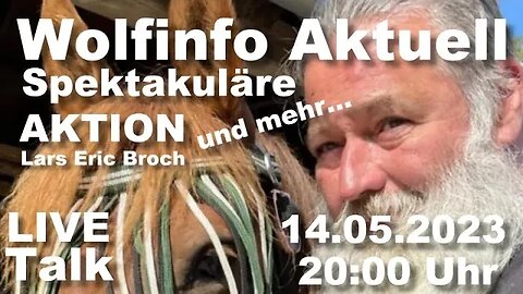 Wolfinfo Aktuell LIVE TALK 28 ( Spektakuläre Aktion und mehr... )