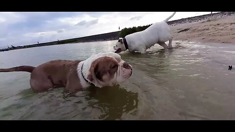 Winnie en Famke in Stavoren (4 augustus 2022)