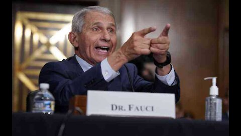 Rand Paul: ‘Fauci Should Go to Prison for Five Years For Lying to Congress’