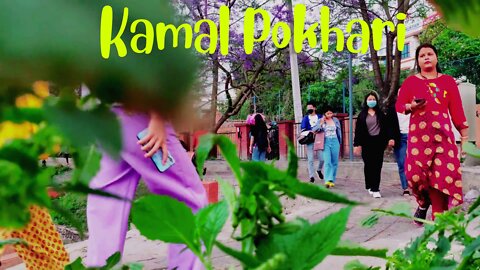 Moody Day Kamal Pokhari - 3D Audio | Walking Tour Summer 2022