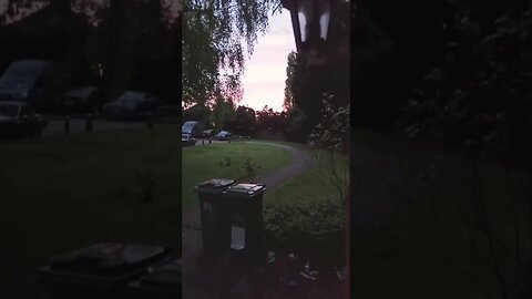 the early birds caught this little one sneaking in