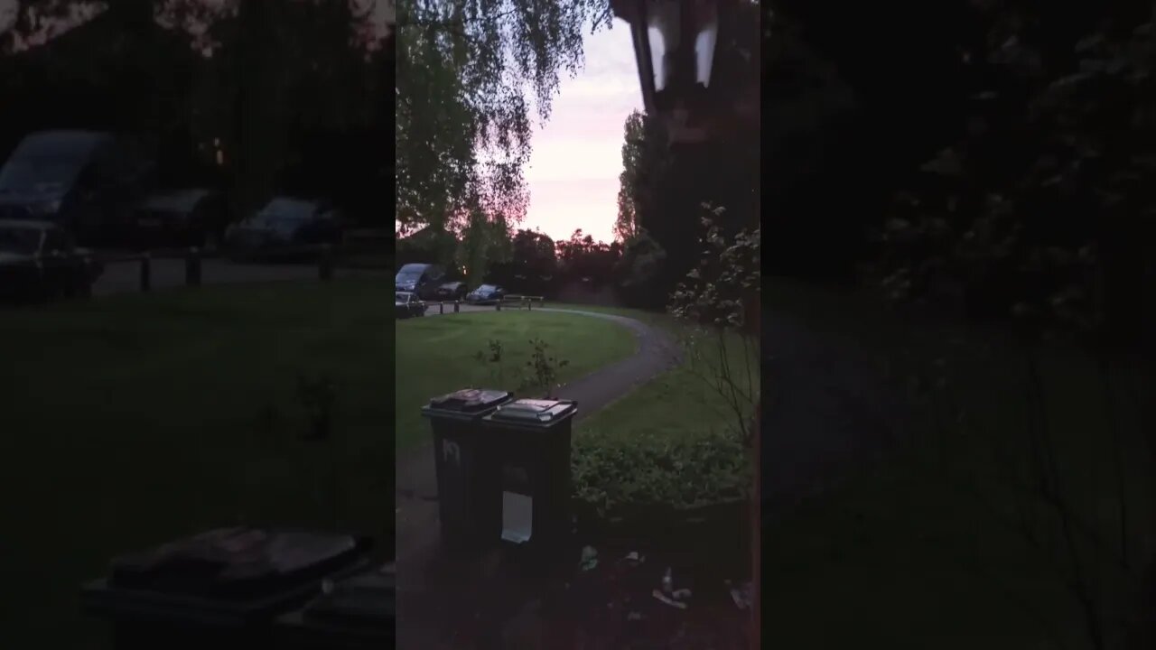 the early birds caught this little one sneaking in