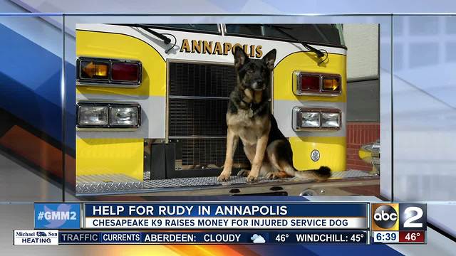 Annapolis K9 Rudy needs your help