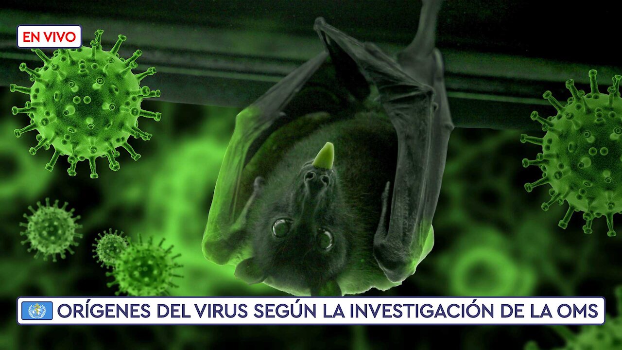 🦠 [1 de 3] Orígenes del Virus según la Misión de Expertos de la OMS en Wuhan [subtítulos en español]