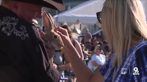 People, pooches enjoy "Dog Night" at the Party on the Purple