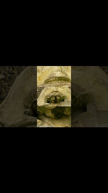 The Importance of questioning our History is so we can reconnect to a Truthful Harmonious Society