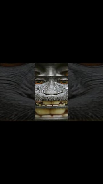 don't screenshot 🐵