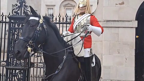 Both horses spooked by work men drilling Both taken ack to stables and replaced #horseguardsparade
