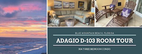 30A Condo Adagio D-103 Tour