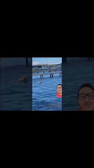 Manatees are faster than you