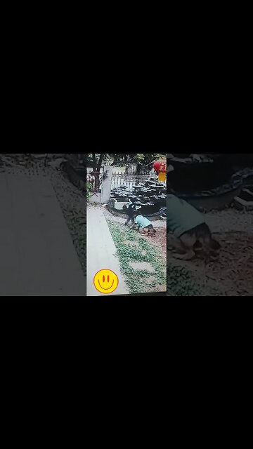 WATCH WHAT THIS DOG DOES