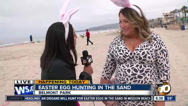 Dozens hunt for eggs in the sand