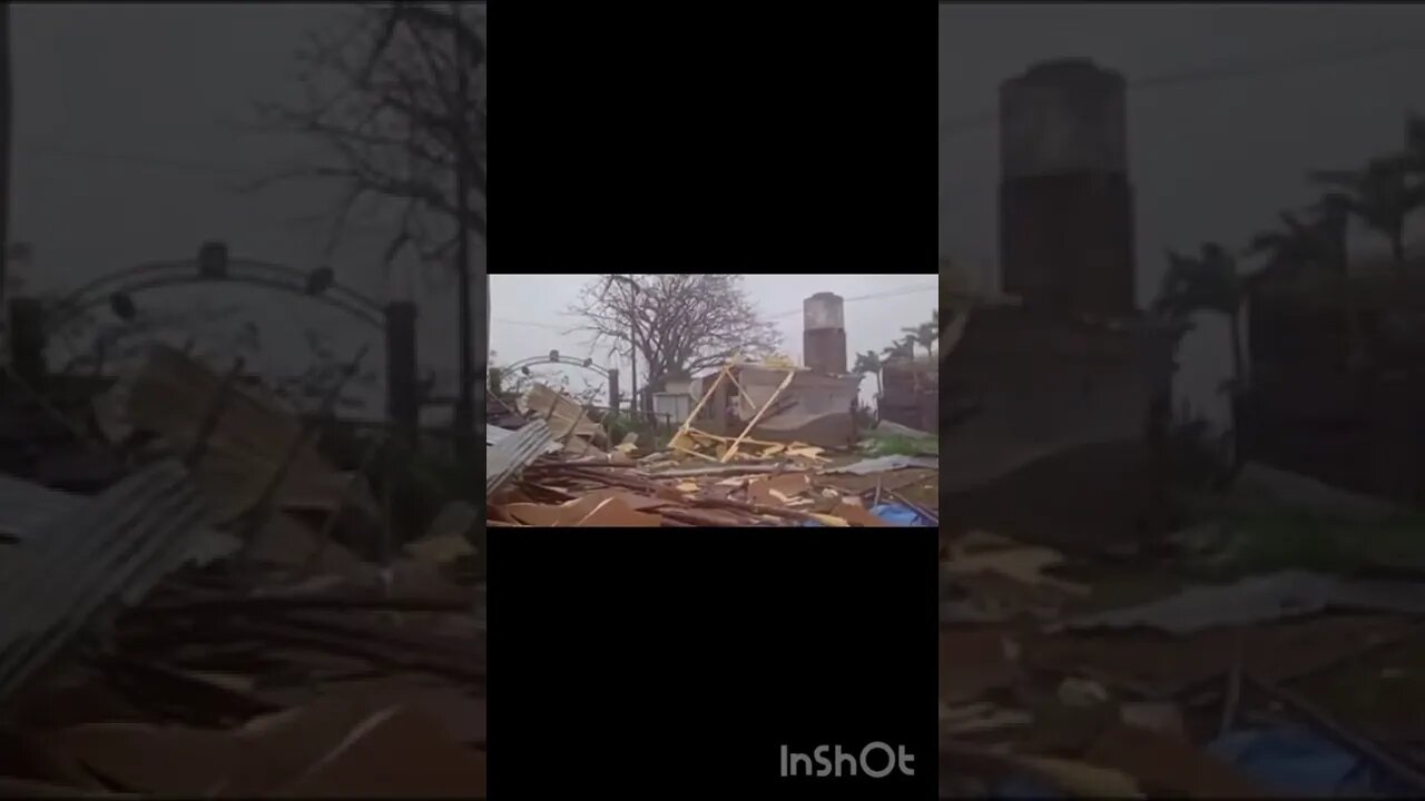 Tobacco Farm in Cuba Destroyed by Ian #shorts #cuba #hurricane #hurricaneian