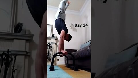 Day 34 - Learning How To Do Handstand Push Ups