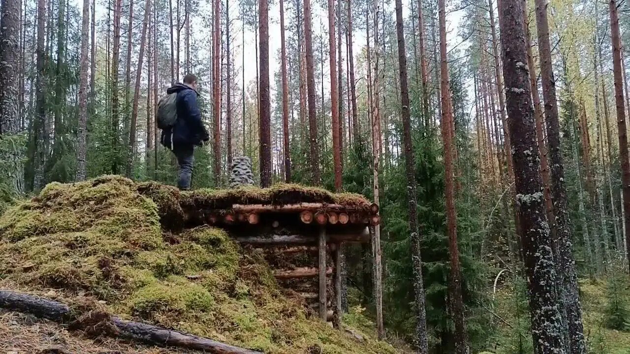 Earth shelter. I found a dungeon in the woods.2