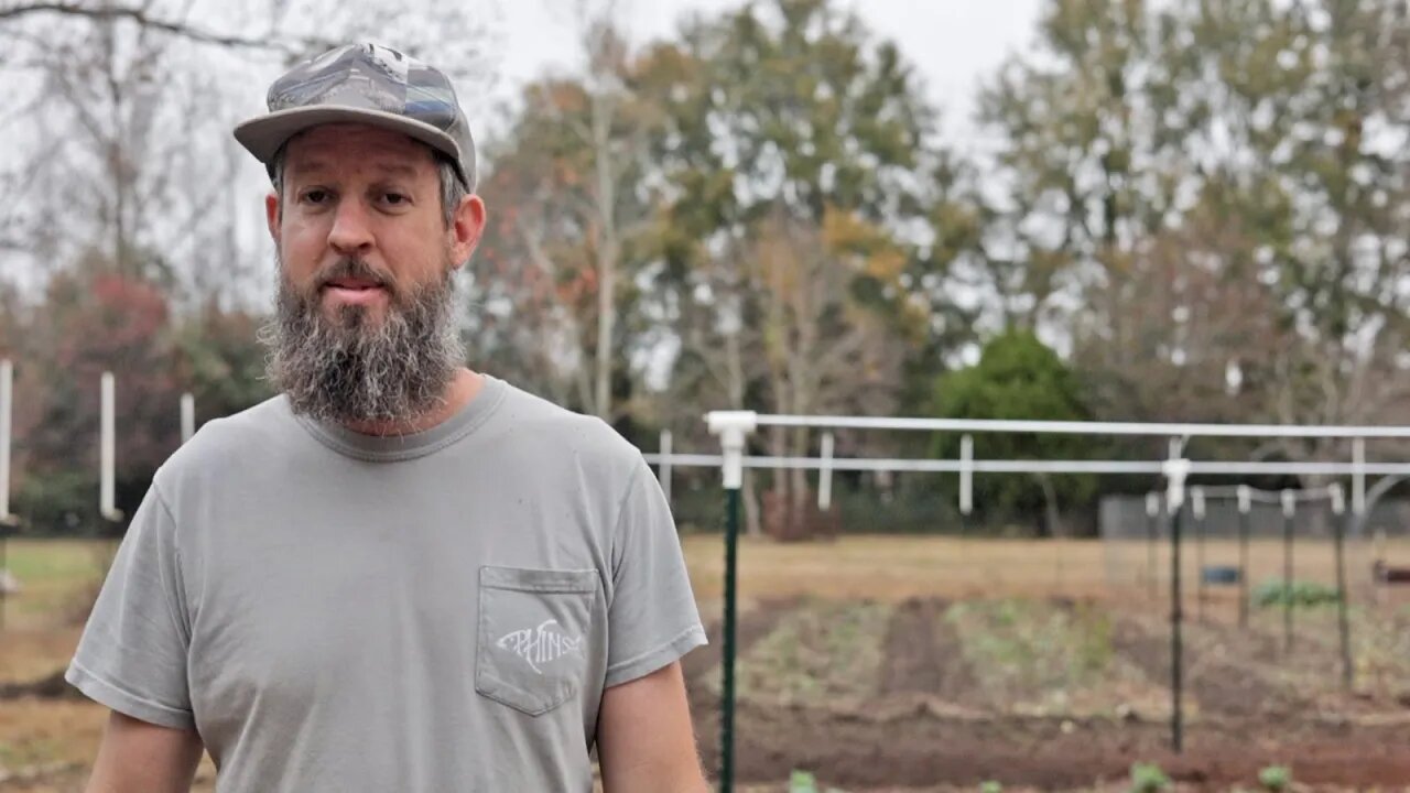 Our Gardens at 3 Months (David The Good's November Garden and New Food Forest Tour)