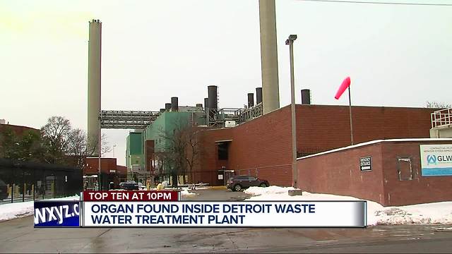 Possible human organ found at Detroit water treatment plant