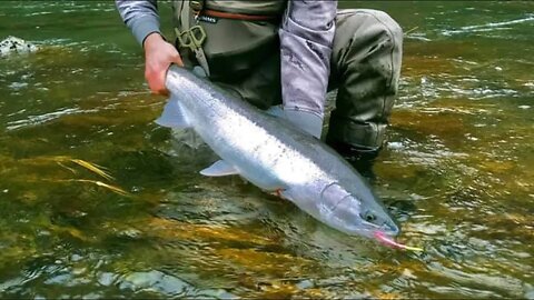 Where Are The Winter Steelhead? - Steelhead Fishing Tips & Tricks!