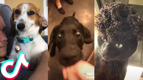 Funny TikToks that make my Monday better#1