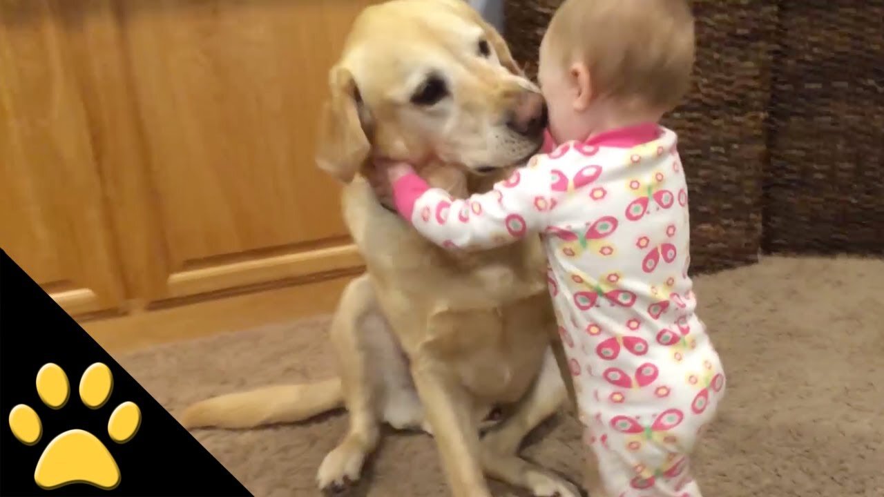 Funny Baby Playing With Dog.