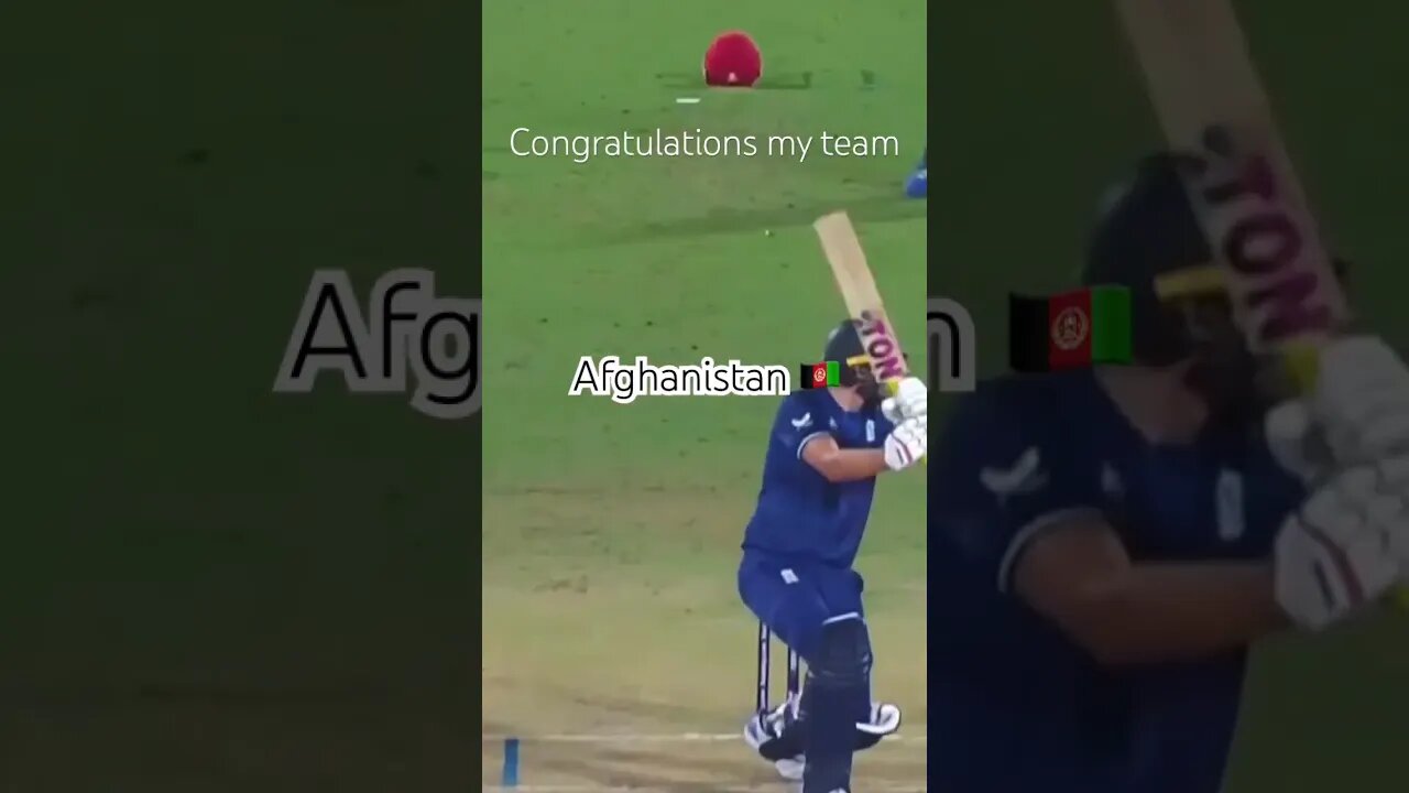 World Cup cricket 🏏 |afghanistan win #cricket #afganistan #shortvideos #travel #worldcup #foryou