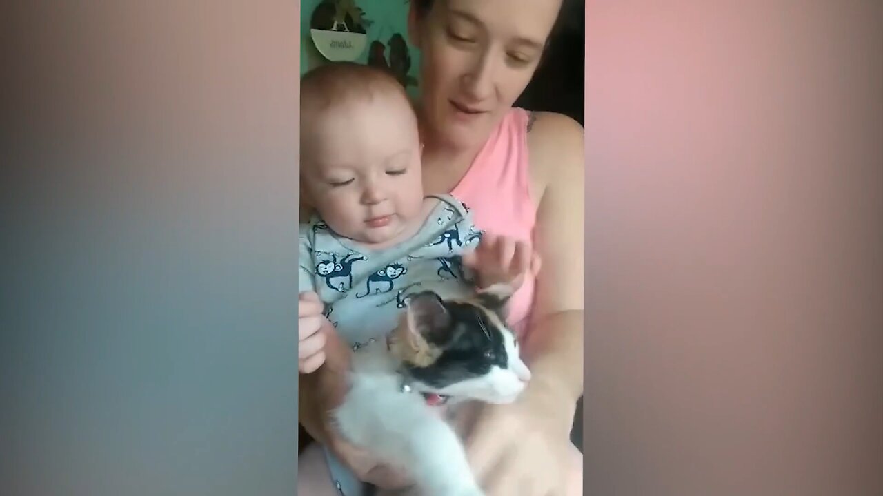 The child bit the cat