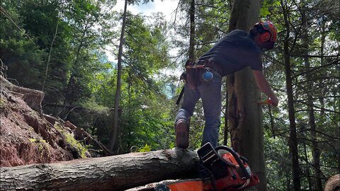 Logging Techniques That EVERY Logger Should Know!