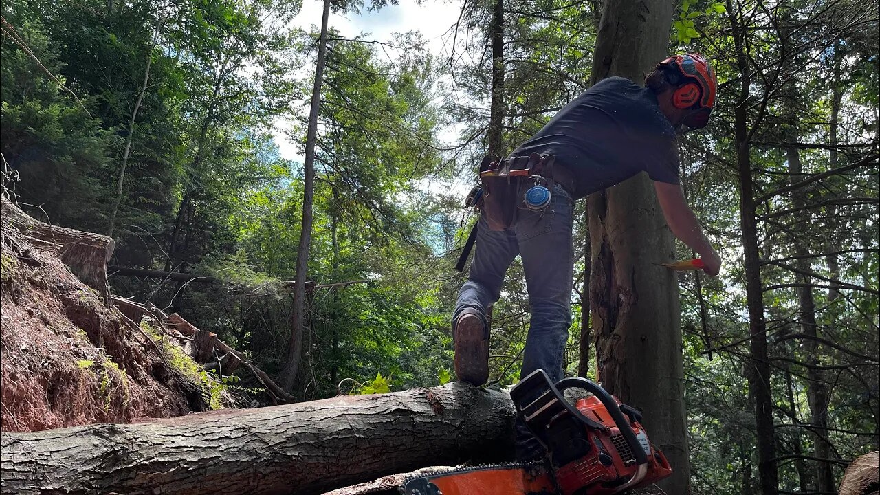 Logging Techniques That EVERY Logger Should Know!