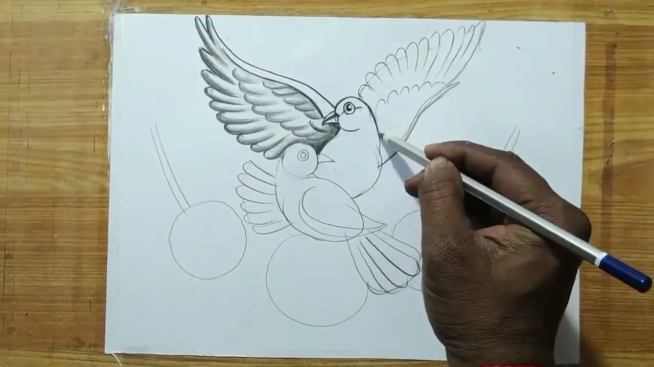 how to draw a pigeon and rose flowers with pencil sketch