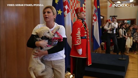 Kolinda ne zna držati psa