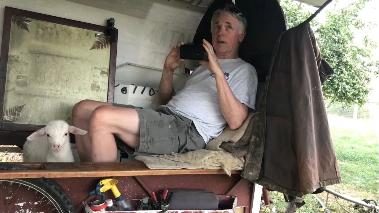 Paul Elkins documents sheep-pulled camper!