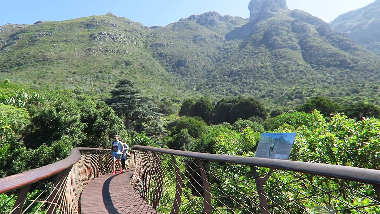 SOUTH AFRICA - Cape Town - Kirstenbosch National Botanical Garden (Video) (2Mc)