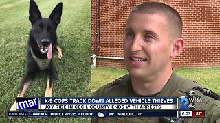 K-9 cops track down alleged vehicle thieves in Cecil County