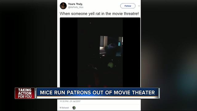 Moviegoers report rodents at Florida AMC theater over the weekend via social media posts