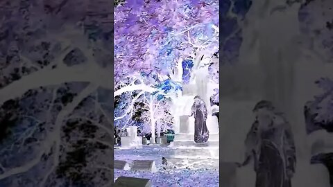🪦IN ANOTHER REALM🌌 #halloween #halloween2023 #halloweenseason #spooky #scary #cemetery #visualart