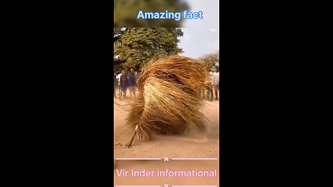 Real fact | amazing fact | trending fact | ytshorts |