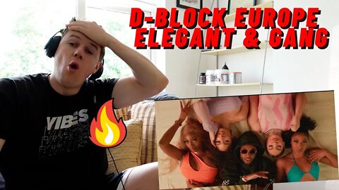 D-Block Europe - Elegant & Gang((INSANE IRISH REACTION!!))