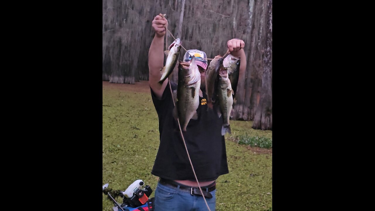 Caddo Lake fishing trip