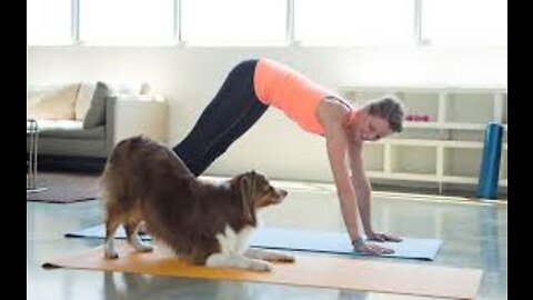 Dog learning Yoga
