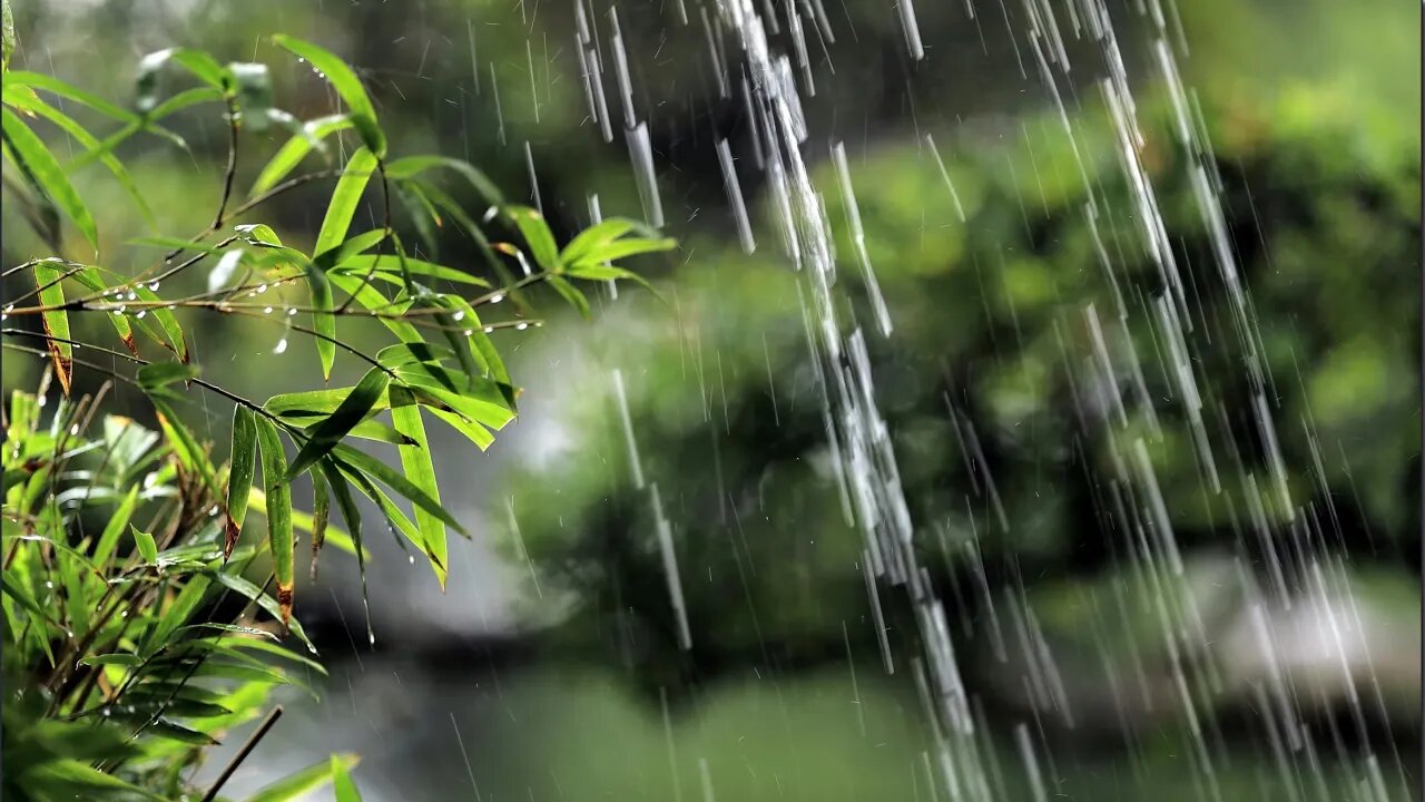 The sound of rain in front of your window is suitable for your soul music to relax.